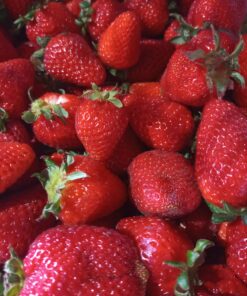 Frutillas Agroecologicas x 500 Gr. a confirmar