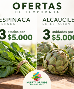 Combo Espinaca 3 atados
