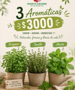 Combo Plantines Aromáticas x 3 S/Estacion (Oregano, Tomillo, Menta, Lavanda, Ciboulette, Perejil, Cilantro, Albahaca, s/disponibilidad)