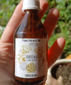 Triple extracto de setas Lomaverde Girgolas