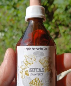 Triple extracto de Setas Lomaverde Ganoderma
