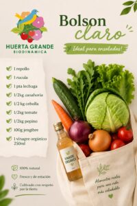 Bolson claro : 1 repollo, 1 rucula, 1 pta lechuga, 1/2kg zanahoria, 1/2kg cebolla, 1/2kg tomates, 1/2kg pepino, 100g jenjibre, 1 vinagre organico 250ml