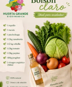 Bolson claro : 1 repollo, 1 rucula, 1 pta lechuga, 1/2kg zanahoria, 1/2kg cebolla, 1/2kg tomates, 1/2kg pepino, 100g jenjibre, 1 vinagre organico 250ml