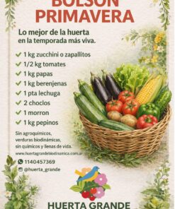 Bolson Primavera: 1Kg Zucchini o Zapallitos, 1/2kg tomates, 1kg papas 1kg berenjena, 1 Pta Lechuga, 2 choclos, 1 Morron, 1kg pepinos