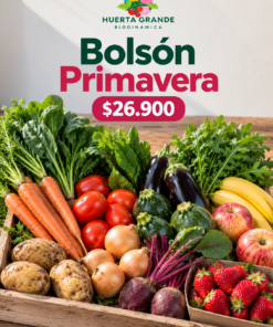 Bolson Primavera: 1kg papa, 1kg tomate, 500g zanahoria, 500g cebolla, 500g zapallito, 500g berenjena, 500g remolacha, 1 espinaca, y 1 rucula. 500g banana, 500g manzana, 500 g frutillas