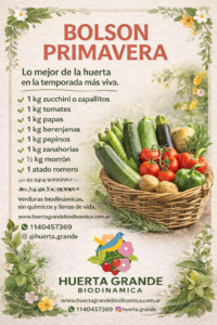 Bolson Primavera: 1Kg Zucchini o Zapallitos, 1/2 kg tomates, 1 kg papas 1 kg berenjena, 1 Lechuga 2 choclos, 1 Morron, 1  kg de pepinos