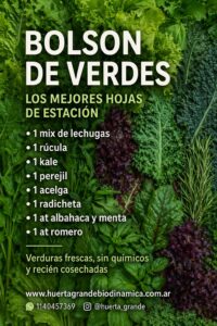 Bolson verde: 1 Mix de lechugas, 1 Rucula, 1 acelga, 1 Kale, 1 Radicheta, 1 At menta y albahaca, 1 At Romero
