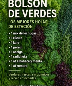 Bolson verde: 1 Mix de lechugas, 1 Rucula, 1 acelga, 1 Kale, 1 Radicheta, 1 At menta y albahaca, 1 At Romero