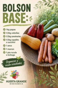 Bolson Base: 1Kg Papas, 1/2Kg cebolla, 1/2kg zanahoria, 1/2Kg zapallito/zucchini, 1 Anco, 1 Morron, 1 Rucula/Lechuga