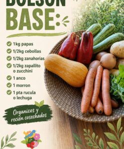Bolson Base: 1Kg Papas, 1/2Kg cebolla, 1/2kg zanahoria, 1/2Kg zapallito/zucchini, 1 Anco, 1 Morron, 1 Rucula/Lechuga