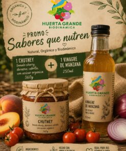 Promo: 1 Vinagre manzana 250ml + 1 Chutney de cherry, durazno y cebolla 360gr Biodinamicos HG