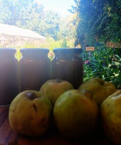 Mermelada de membrillo con jengibre y limon organica 350gr