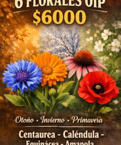 Promo: 6 Florales OIP Centaurea, Calendula, Equinacea, Amapola