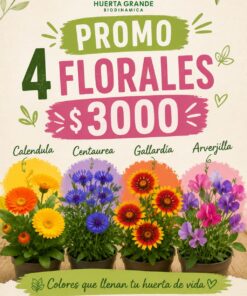 Combo 4 plantines flor ( Calendula, Centaurea, Gallardia y Arverjilla)