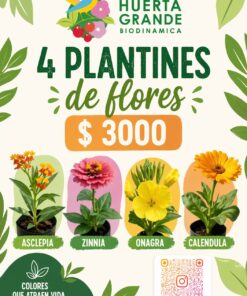 Combo 4 plantines flor ( Asclepia, calendula, Onagra y zinia)