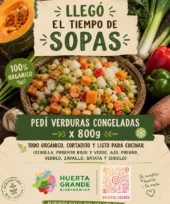 Veduras congeladas para sopa 800grs (cebolla, pimiento, ajo, puerro, verdeo, zapallo, batata, choclo)