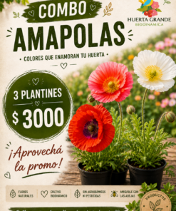 Combo 3 plantines de amapolas