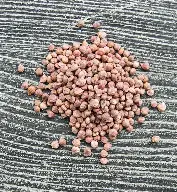 Semillas espinaca 10grs