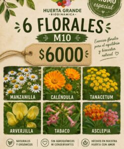 Combo 6 plantines flor M10 (Manzanilla, Calendula, Tanacetum, Arverjilla, Tabaco, Asclepia)