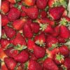 Frutillas agroecologicas x 5kg OFERTA!