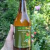 Bebida fermentada de miel Microbee 500cc sin conservantes - Carqueja