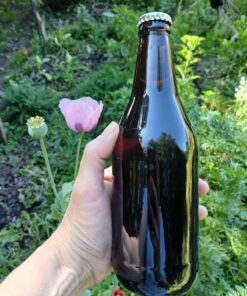 Vino de arandanos biodinamicos 500cc sin conservantes, sin azucar, fermentacion natural