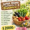 Bolson Primavera: 1kg papa, 1kg zucchini o zapallito, 1kg berenjena, 1kg pepino, 1/2kg tomate, 1 Pta Lechuga, 1 choclo y 1 Morron