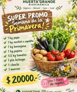 Bolson Primavera: 1kg papa, 1kg zucchini o zapallito, 1kg berenjena, 1kg pepino, 1/2kg tomate, 1 Pta Lechuga, 1 choclo y 1 Morron